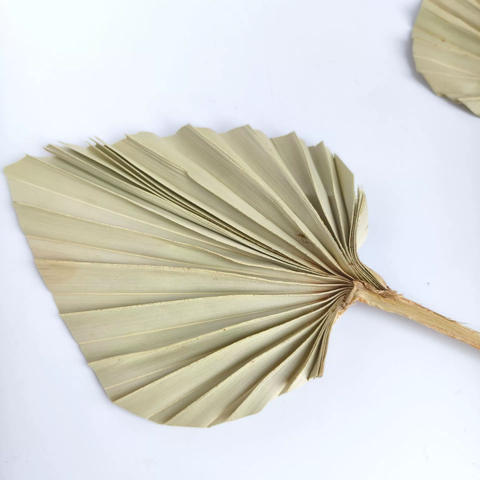 Настроить | Миниатюрный веер для любви, маленький веер-лист в стиле ваби-саби, декор для дома и свадьбы с натуральными сухоцветами