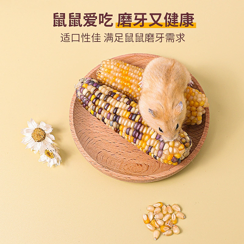 Корона хомяк маленький маленький кукурузный золотой медведь цветочная крыса кролик молотилка для закусок