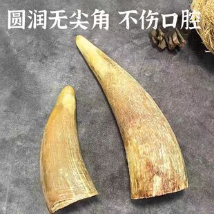 ����ĥ��ţ���L��ţƤţ���蹷ҧ�z��ţ����ţϥ���^������ʳȮ��