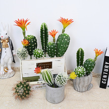 ����Ꭷ�Gֲ��ʢ��ɳĮ�������҃ȶ���M���b��[��ֲ��쾰