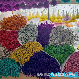 Eternal Flower Crystal Grass Wholesale Dry Flower Crystal Grass Factory Crystal Grass Flower Crystal Broken Crystal Grass DIY Factory