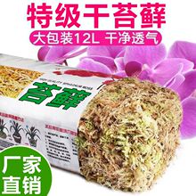 ��̦�\�m���������m��̦�Nֲ��ʯ���I�B�����m��ˮ̦���