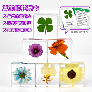 С�t���ֹ����zֲ�﷽�K�������[�������ѶY���Ą��м���ˇƷ����