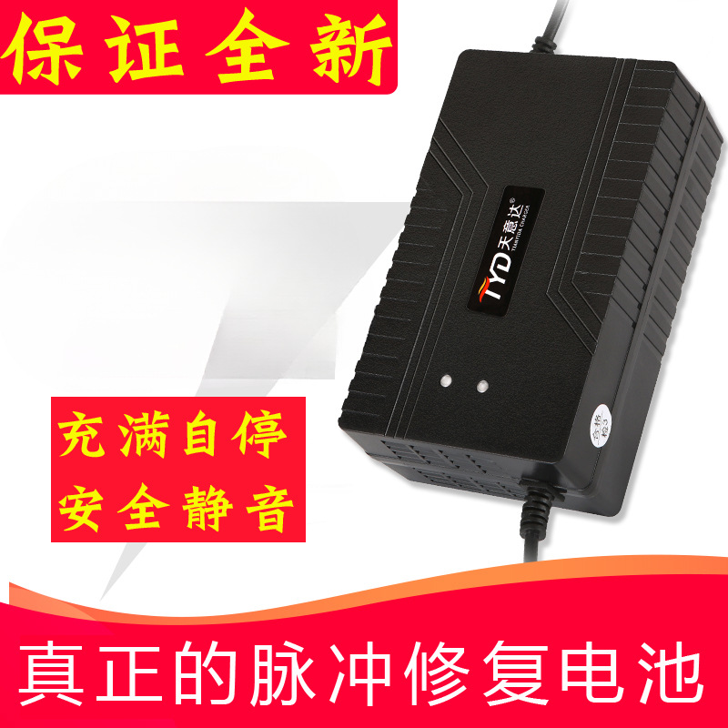 电动电瓶车充电器48v12ah60V72v20AH伏智能立马爱玛雅迪新日通用