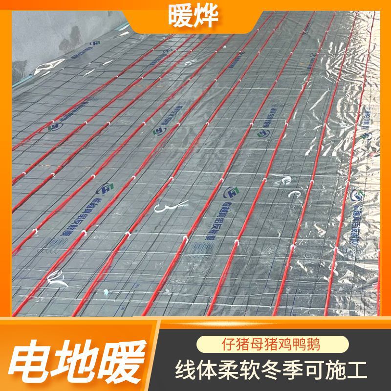 养殖牛犊电地暖 暖烨 猪舍用取暖设备 碳纤维发热线