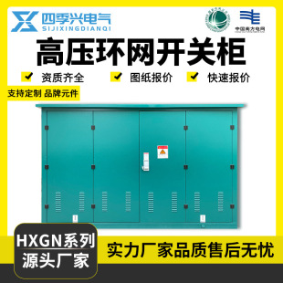 10KV High Voltage Switch Ring Mesh Cabinet HXGN15-12 Ring Mesh Type Complete Box to Open and Close the Inflatable Cabinet Ring Mesh Box
