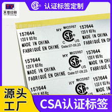 Դͷӡˢ CSAǩ CSAƱ 150ȸ·ͷˮ