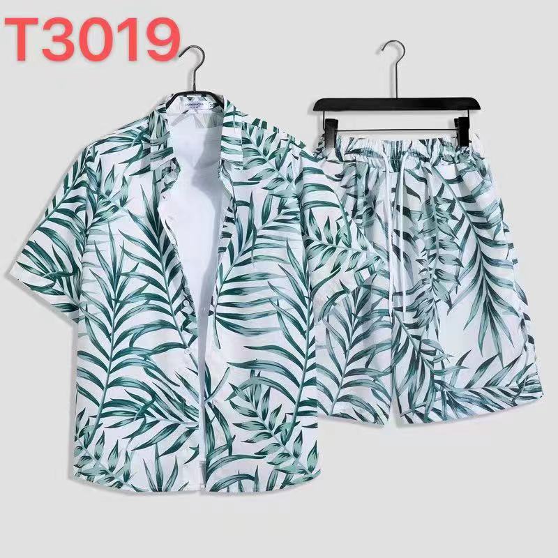 사우스 T3019