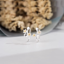 ÷�����AŮ�o�����͹��L���ǊA��ϵ���sС�ɶ��Ʒ���Ů����Y��