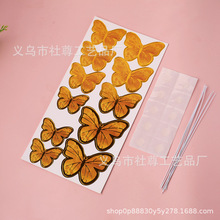 11֧�W����ɫ�C�����������ƽ�߅�����F�z��������Ɍ������b�