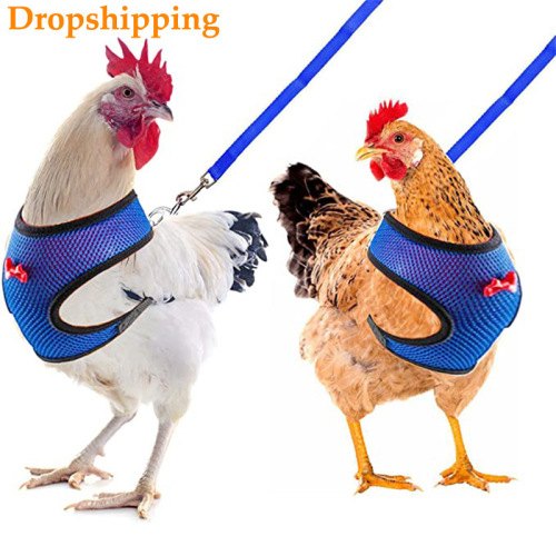 Pet Harness Style Cat Dog Breathable Chicken Duck Fashion Mesh Pet Harness Set with Bow Tie Pet Harness with Lead