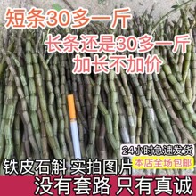 正品铁皮石斛鲜条500g中药材枫斗三四五年生基地批发霍山新干花粉