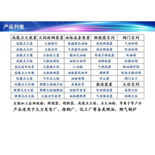 ΢�ͻ�z̽�^ LDHJ-200(�����x�}�M��+��|�M��)