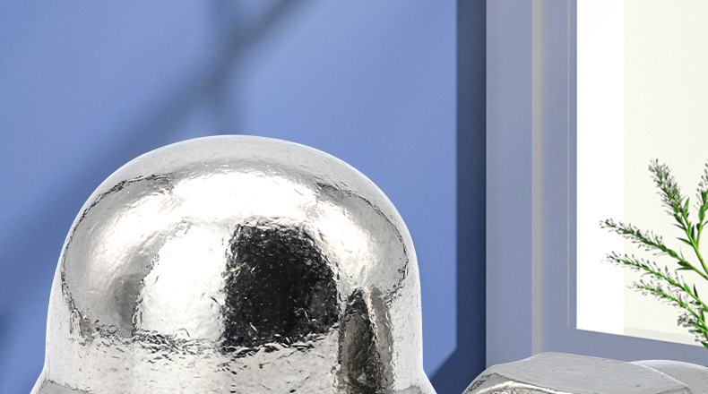 304 stainless steel cap nut_01_02.jpg