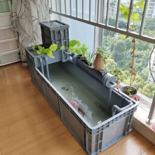 Breeding Amphibious Ecological Tank, Swamp Fish Tank, Turtle Tank, Turtle Tank, Household Breeding Box, Filter Mixing