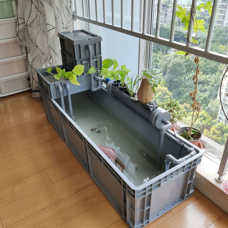 养殖水陆两栖生态缸沼泽鱼缸盆养龟箱乌龟缸养家用饲养盒过滤混合|undefined