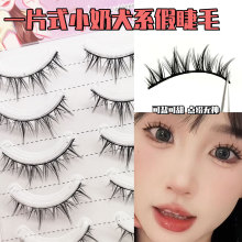 һƬʽС��Ȯϵ�ٽ�ë ���˝����������R���ַ������l�ճ��۽�ë