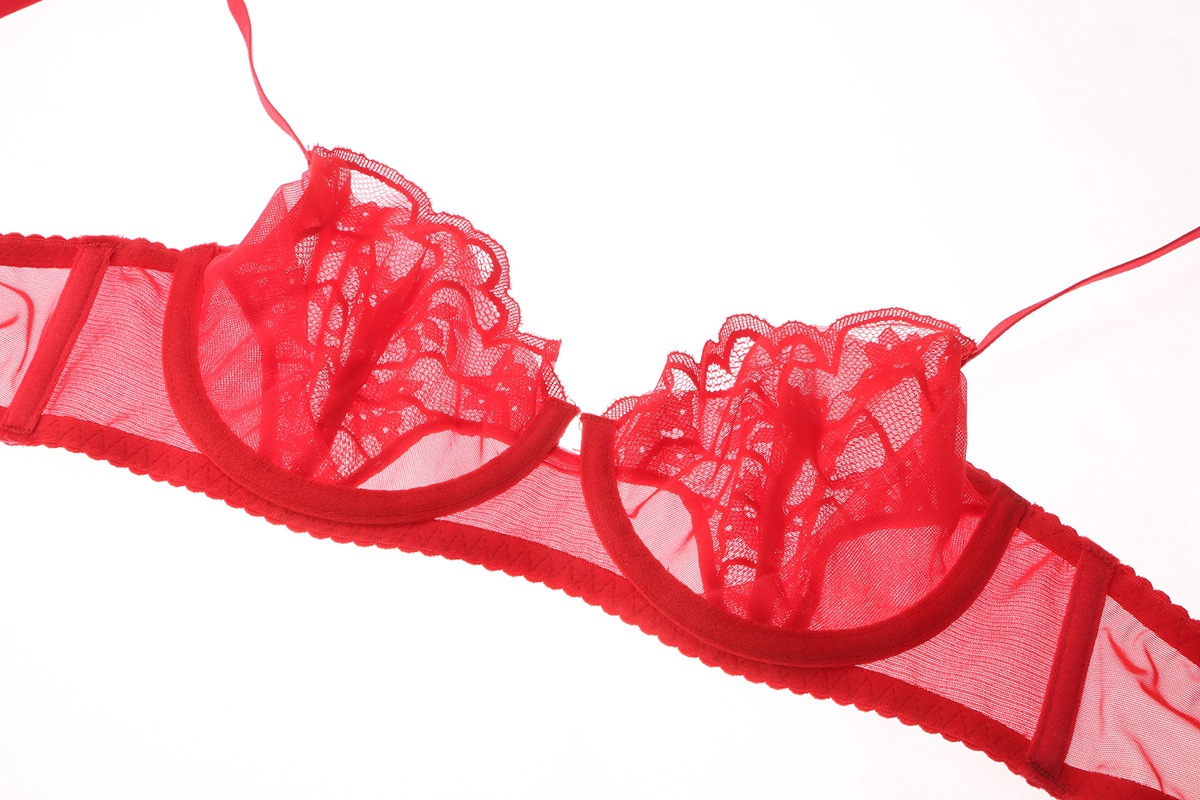 Women's Bra And Briefs Set Lace Perspective Thin Bra For Ladies_voghion.com