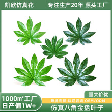 �˽ǽ�P�����~�ӷ���Gֲ�߼��б���٘��~���b�ˮ������ƺ�|