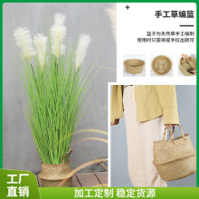 ??��Gֲ���������Bֲ�� �҃��辰�lؔ�٘����˽���