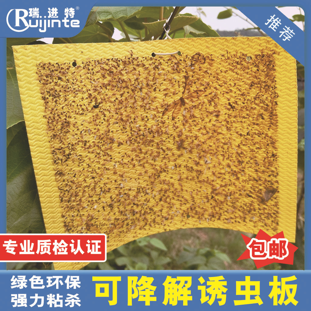 批发强力粘虫板茶叶诱虫板双面粘胶蓝板黏虫板可降解诱虫黄板厂家