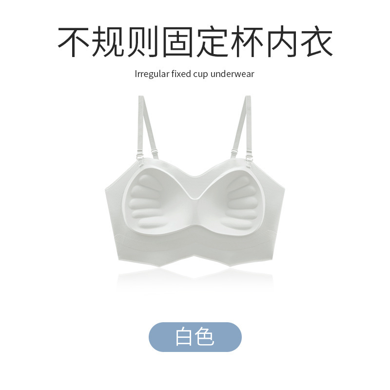 182 화이트