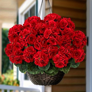 �羳����R�d���溣�Ļ��ٻ��Ҿӿ͏d�b����ÿ��z�����滨