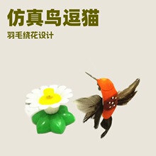 �S��늄����涺؈���B �����B ��ë�@��С�B �羳��̌������