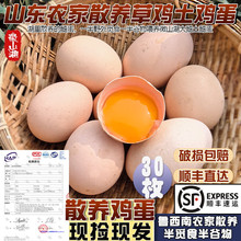 �ӳ�O��30öɽ�|ɢ�B���u���u�����r�����r�ҷ��B���u���r����u