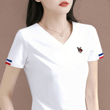 v�It��Ů�����ɫ������ȴ�2026�¿�������u���I�ļ���������