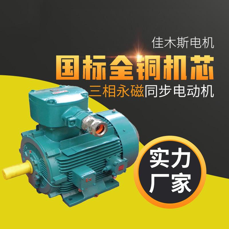Jiamusi Motor Motor Tf (B) Y Series Low Voltage Explosion-Proof Three-Phase Permanent Magnet Synchronous Generator 220Kw