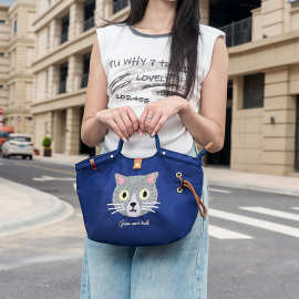 2025ins日系新款可爱手提拎挽小包袋上课班通勤外出便携当便当包