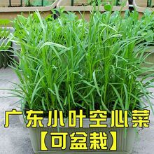 С~Ĳ̨~๣Ĳrﴺ߲˷NӴȫ