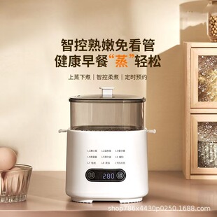 Egg Steamer 2025 New Automatic Power-Off Egg Cooker Multi-Functional Artifact Can Be Reserved for Scheduled Egg Custard for Home Use