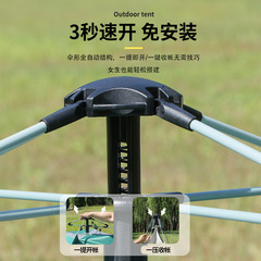 Fully Automatic Tent Outdoor Portable Foldable Sunshade Waterproof 3-4 Person Fast Open Automatic Dual Outdoor Camping Tent