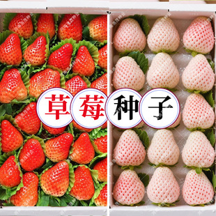 ���l���Ͱ׼t��ݮ�N�����ļ��҃���������ͥԺ�ļ�ˮ���N�ӹ�˾