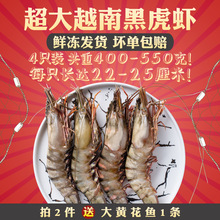 越南黑虎虾鲜活海鲜老虎虾特大巨型野生超大速冻冷冻冰冻青岛大虾