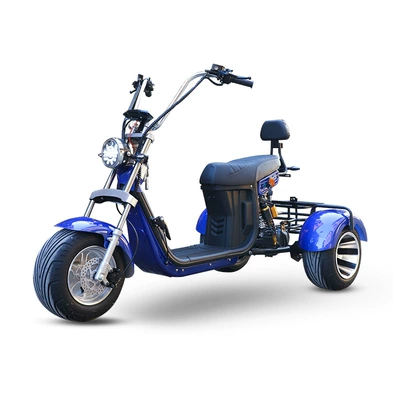 Elektrikli motosikletlər, Cross-border Harley electric motorcycle