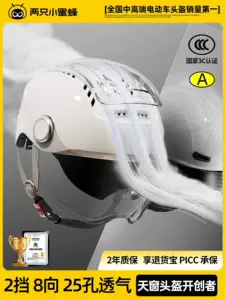 Two Little Bees 3C Certified Electric Motorcycle Helmet