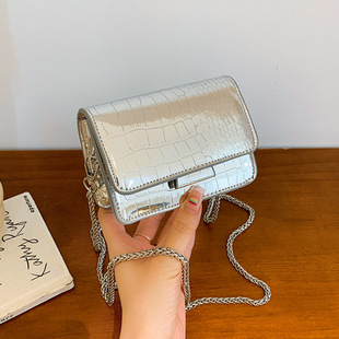 Cross-border summer small square bag women's bag 2026 foreign trade new high-end niche summer cross-body silver mini bag