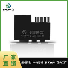 厂家直销GM2215智能锁美标锁自动锁减速电机指纹锁微型齿轮箱电机