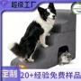 防摔海绵台阶宠物楼梯