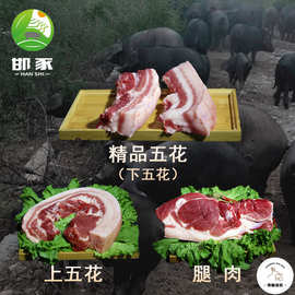 邯豕土猪肉新鲜山地散养传统农家五花肉腿肉黑猪肉笨猪肉