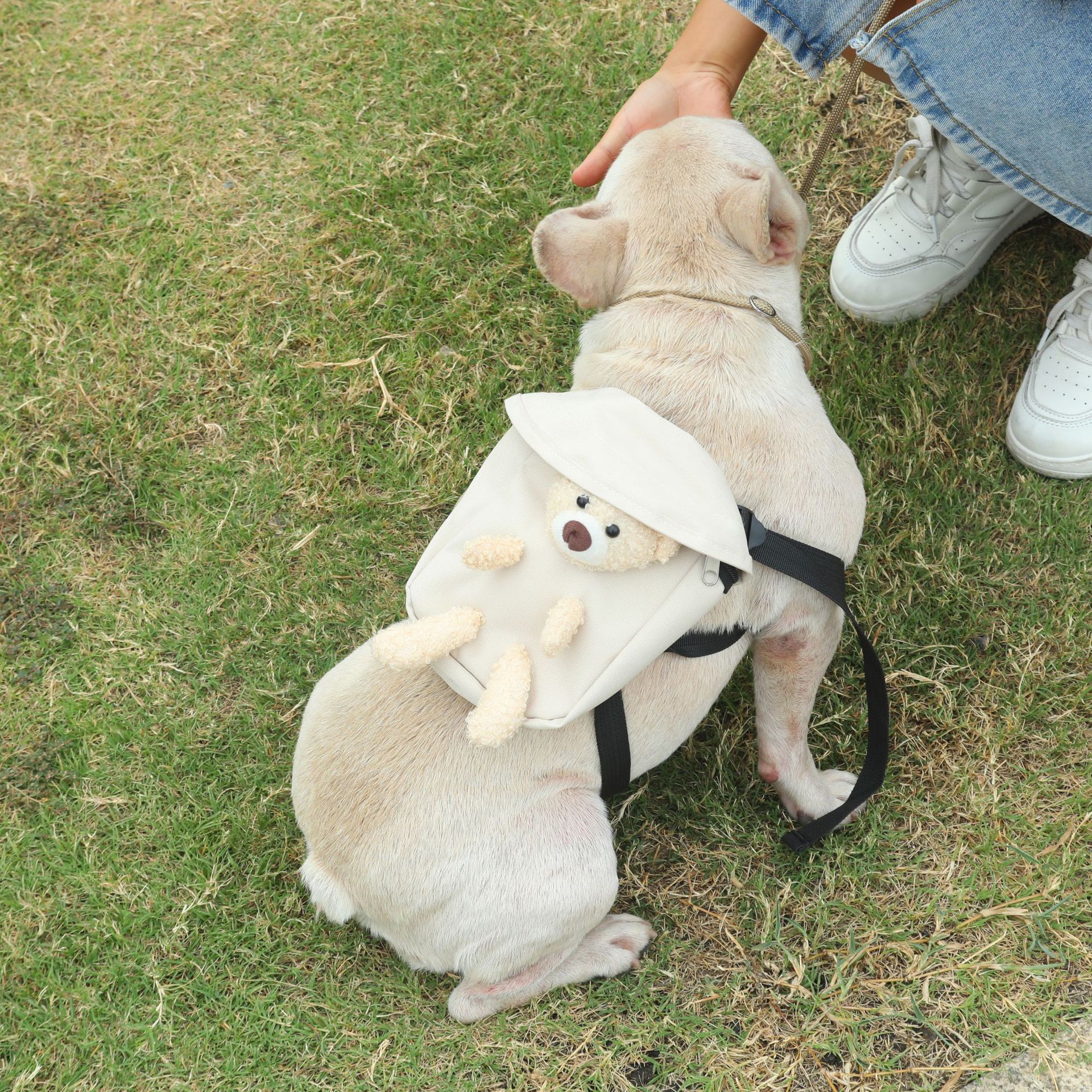 Mascota perro auto-mochila perro mochila gato salida mochila tortuga bolsa merienda peluche mediano y pequeño perro colección de tracción