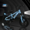 Blue (sports model)