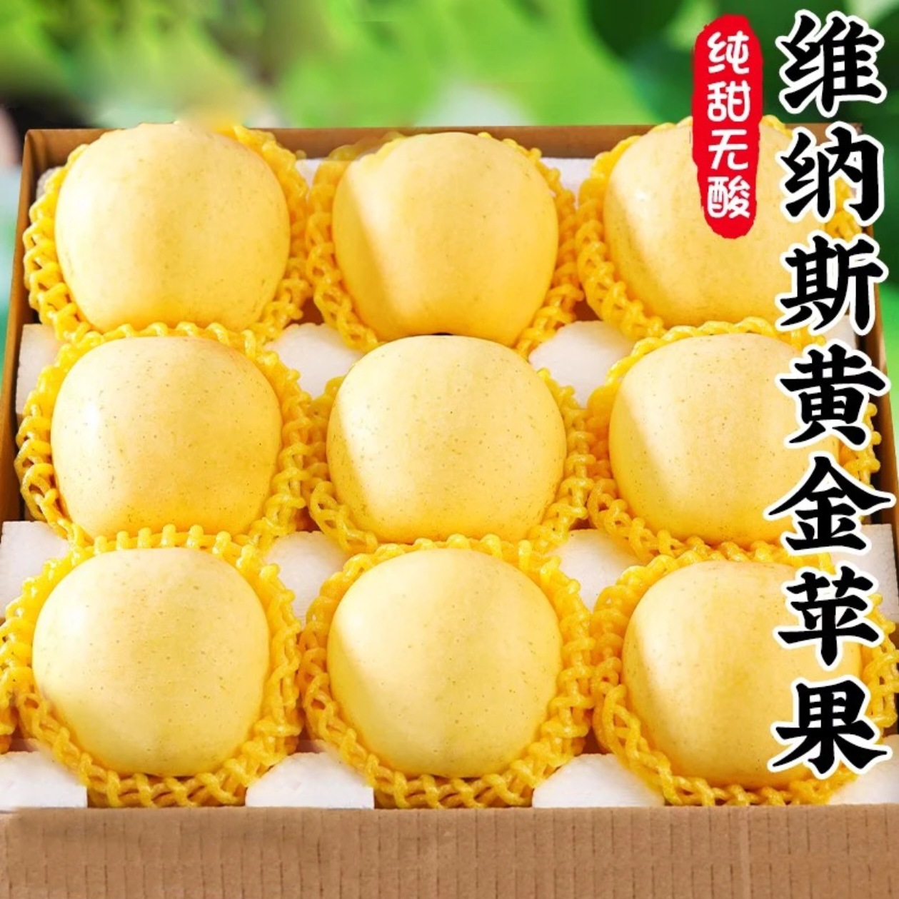 Shandong Yantai Venus Golden Apple Fresh Crisp Sweet Seasonal Fruit Cream Fuji Origin Whole Box One Piece