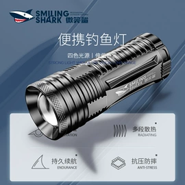 手电筒;头灯头戴电筒;野营/露营灯