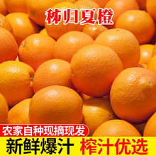 秭归夏橙9斤新鲜橙子手剥甜橙超甜橙孕妇当季水果整箱包邮10斤