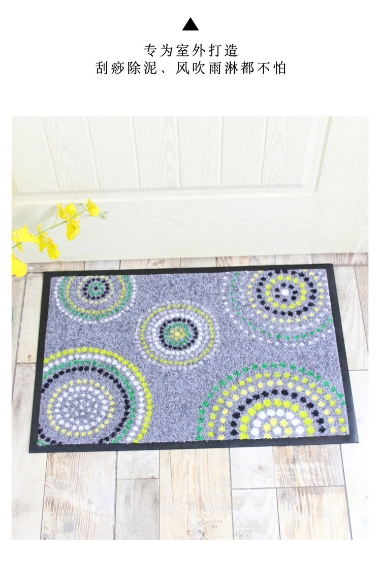 艾菲亚尼龙橡胶地垫进门家用副本_15.jpg