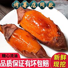 山东烟薯25号糖心蜜薯超甜流油烤地瓜红薯山芋新鲜农家沙地烤番薯